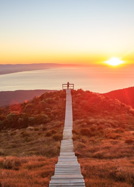 Hump Ridge Track Southland New Zealand Credit Liz Carlson 142