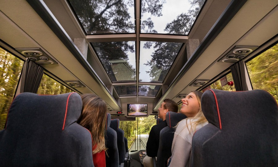 Customers enjoying the views out of the glass roof on the Milford Sound Coach v2