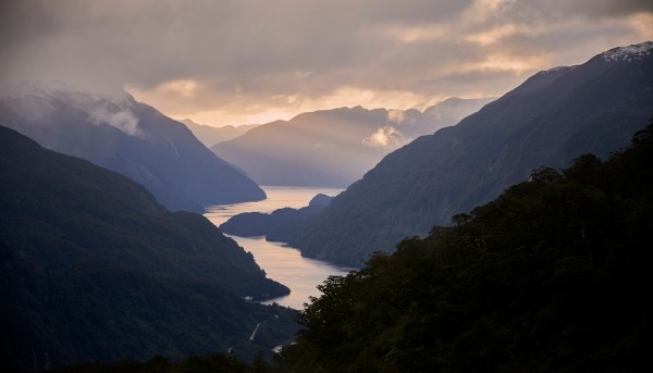 cruise on doubtful sound