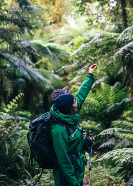 Hollyford Track Southland New Zealand Credit Liz Carlson 27