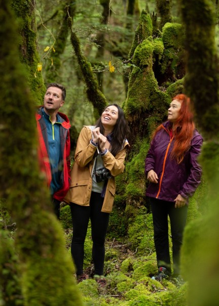 Lake Gunn Nature Walk Southland New Zealand Credit Great South 1