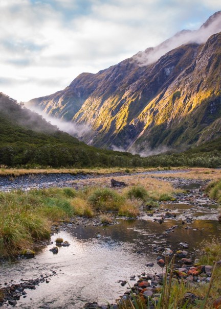 Milford Road - Southland, New Zealand - Credit Liz Carlson (19)