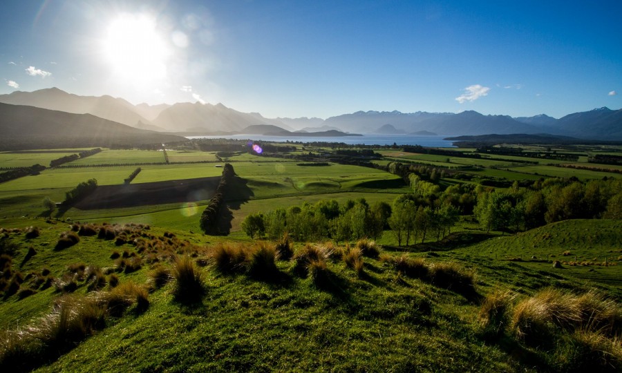 View over farm