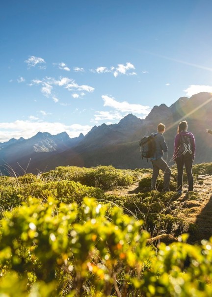 SMALL 8460 Routeburn Track Fiordland Miles Holden2