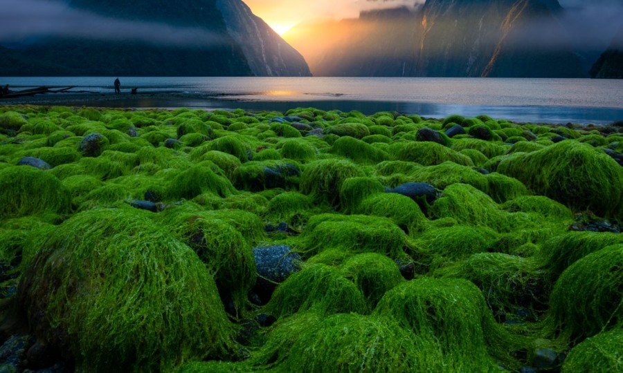 Copy of Milford Sound William Patino Photography