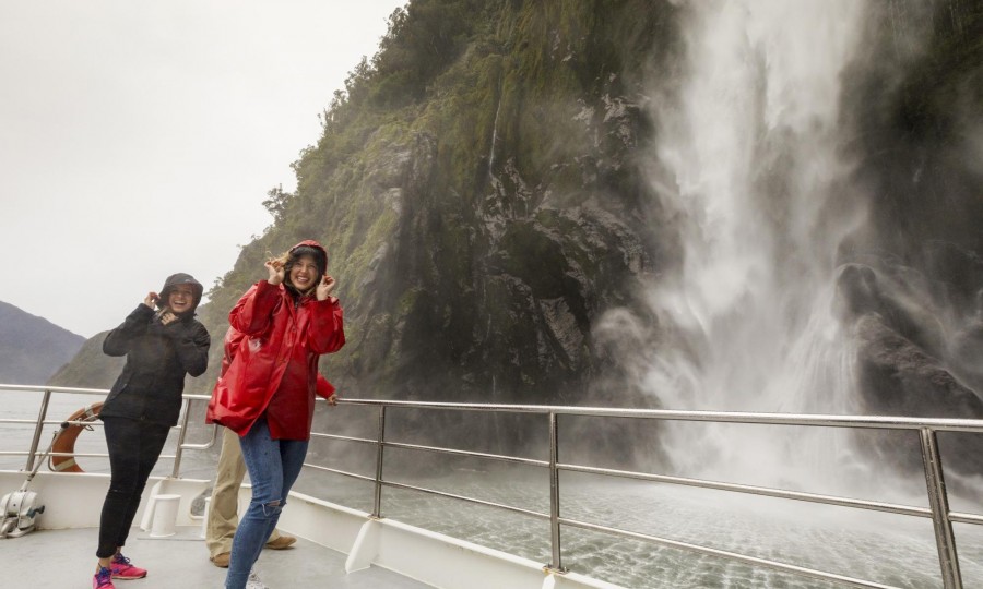 Milford Sound Nature Cruise 6