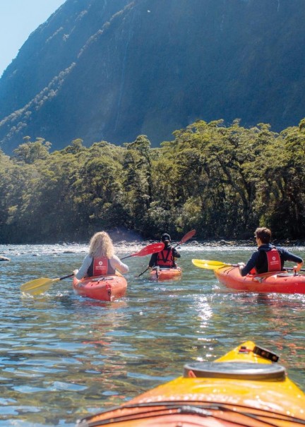 Southern Discoveries Cruise Kayak Milford Sound 7