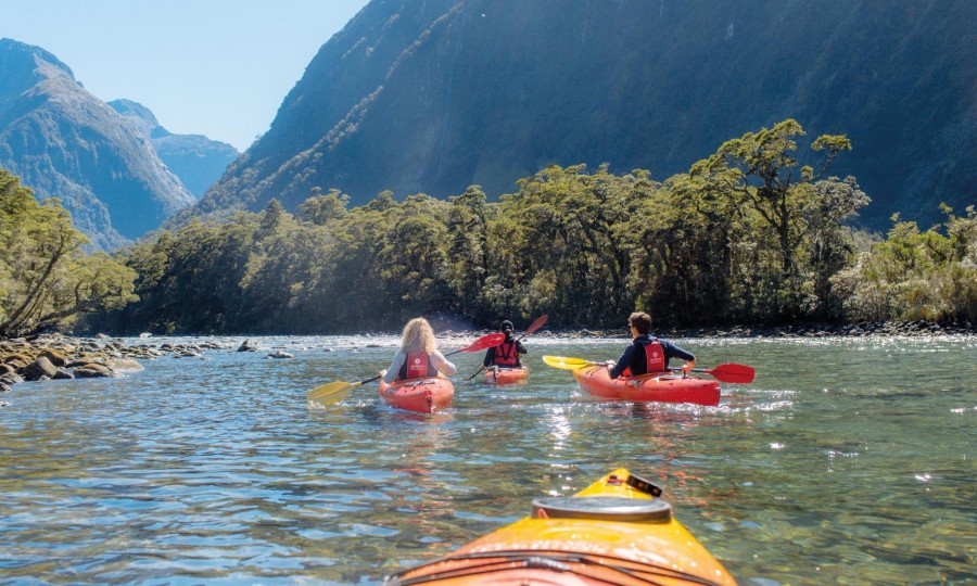 Southern Discoveries Cruise Kayak Milford Sound 7