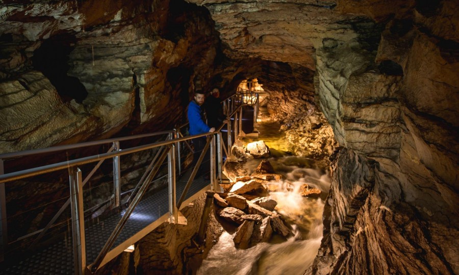 Te Anau Glowworm Caves Real Journeys 1