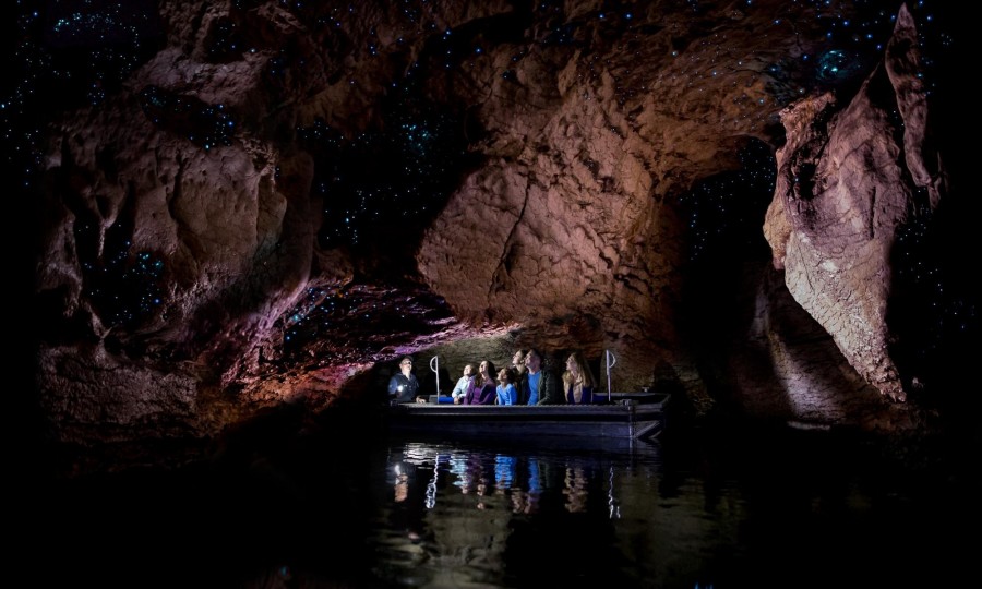 Te Anau Glowworm Caves Real Journeys 6