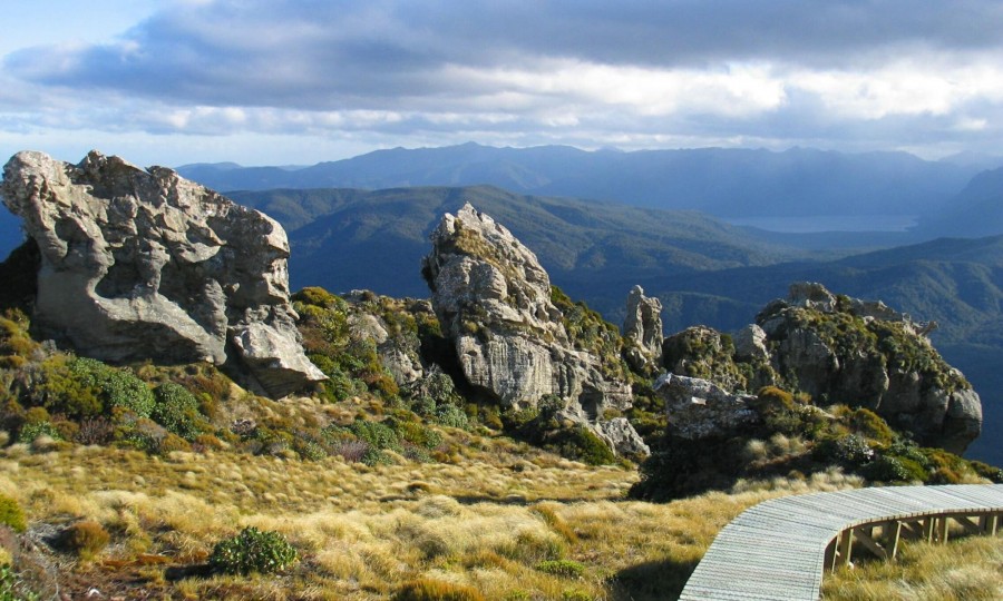 Tuatapere Hump Ridge Track 3
