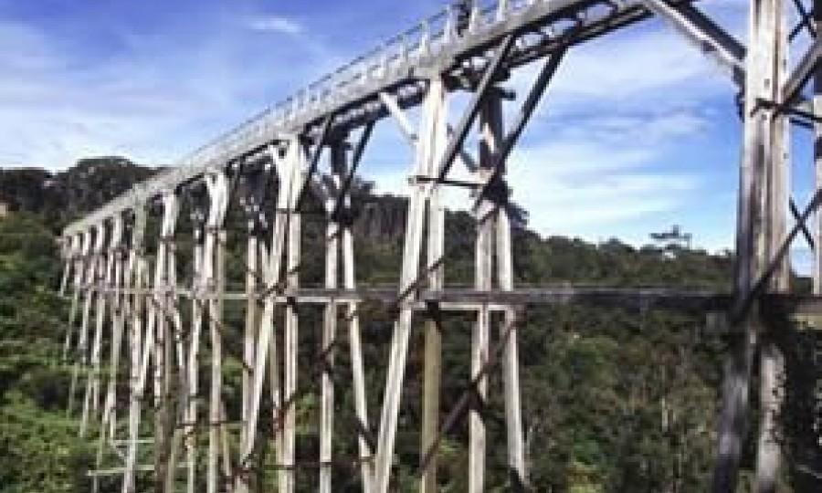 Tuatapere Hump Ridge Track Percy Burn Viaduct