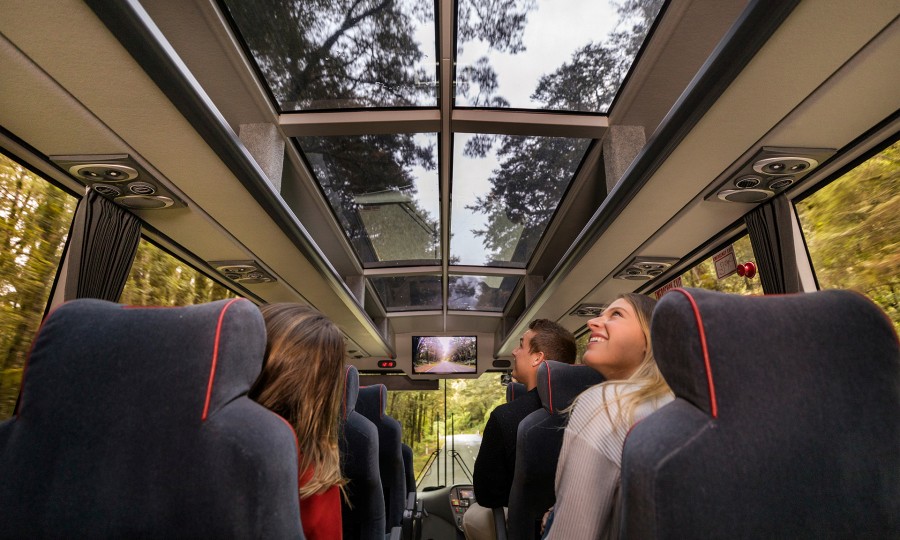 Customers enjoying the views out of the glass roof on the Milford Sound Coach v3