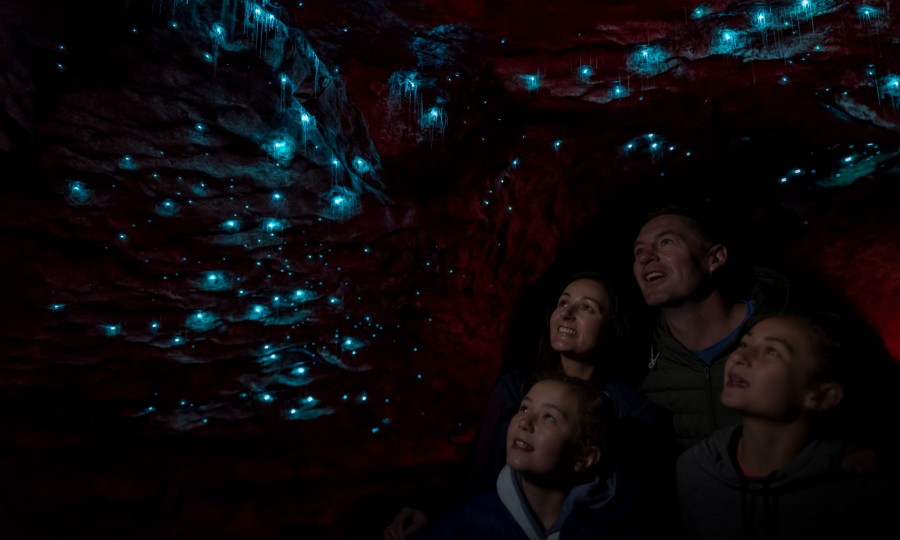 Glowworm Caves 3