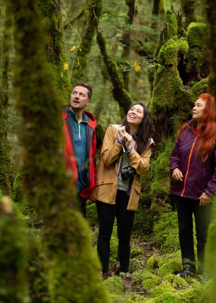 Lake Gunn Nature Walk Southland New Zealand Credit Great South 1