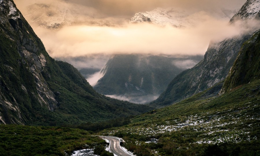 Morning Light Cleaddau Valley Douglas Thorne