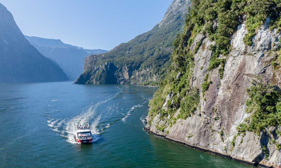 Milford Sound Nature Cruise