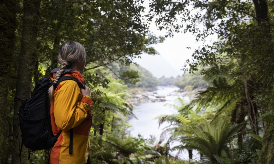 Milford Track Transfers 3 v2