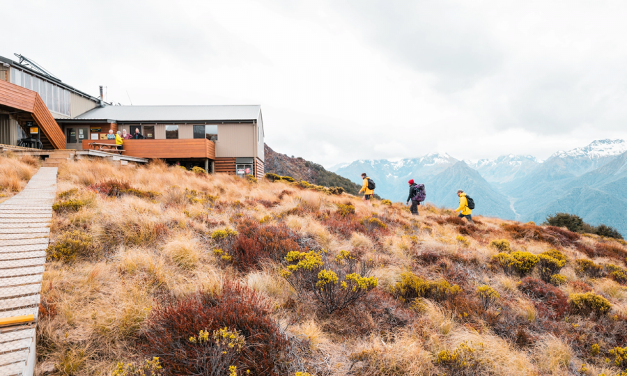 Mt Luxmore Day Walk. Fiordland Ou.2e16d0ba.fill 1280x720