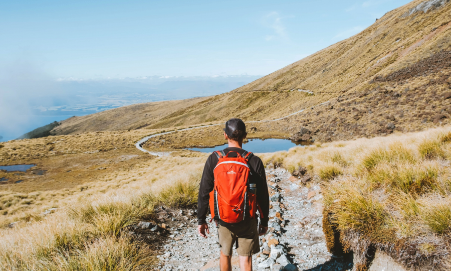 My Luxmore Day Hike Fiordland New.2e16d0ba.fill 1200x900