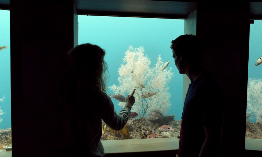 People enjoying the view in the underwater observatory v2