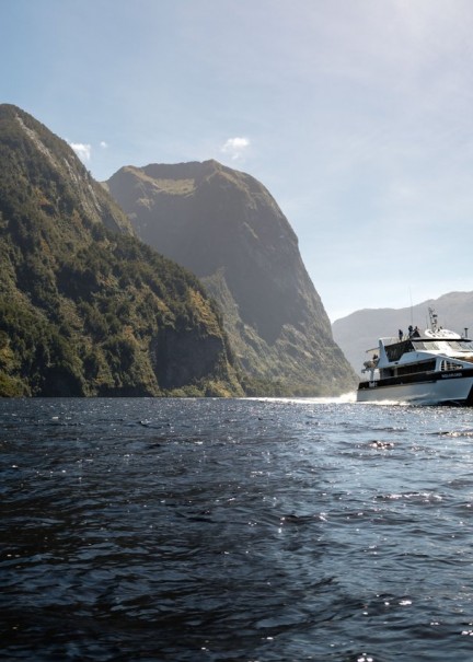 Real NZ Come to life 2 medium 9 v2