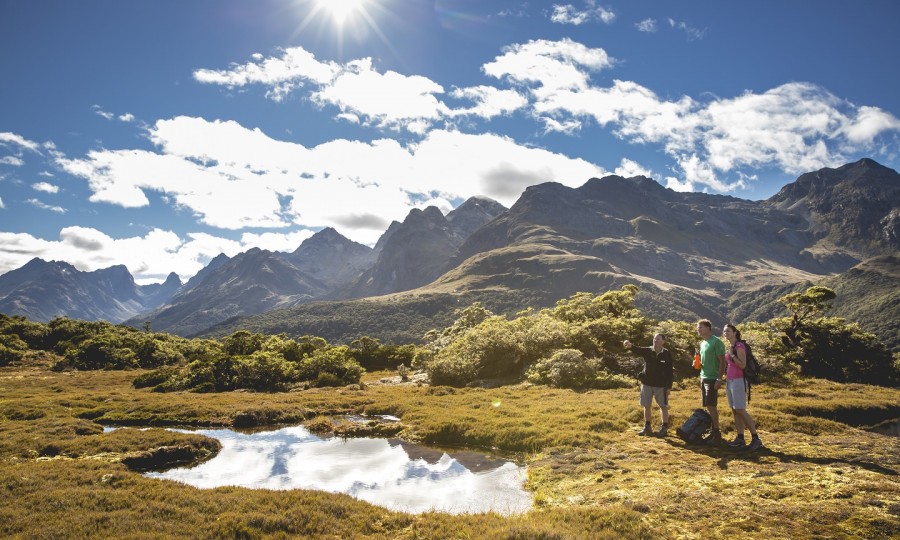 SMALL 8663 Routeburn Track Fiordland Miles Holden