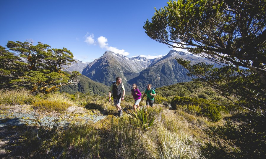 SMALL 8678 Routeburn Track Fiordland Miles Holden