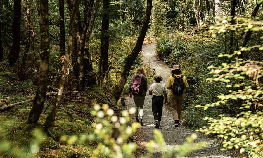 Te Anau Glowworms Experience Secondary 4 1