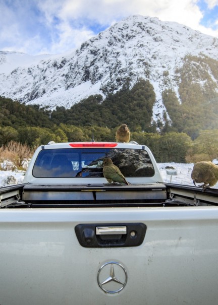 Milford Road Southland New Zealand Credit Liz Carlson 6
