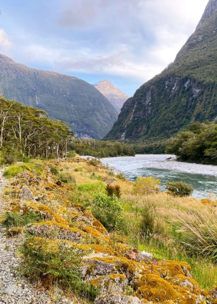 Piopiotahi | Milford Sound © Tim Roxborogh